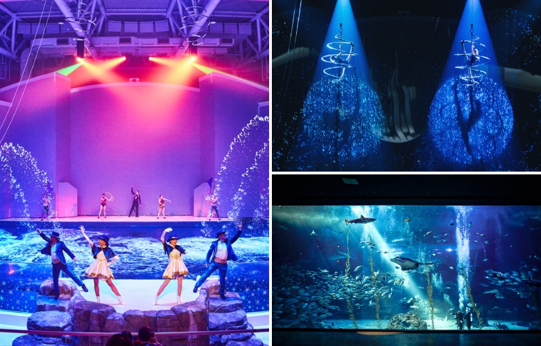 Aqua Planet Jeju (2).jpg