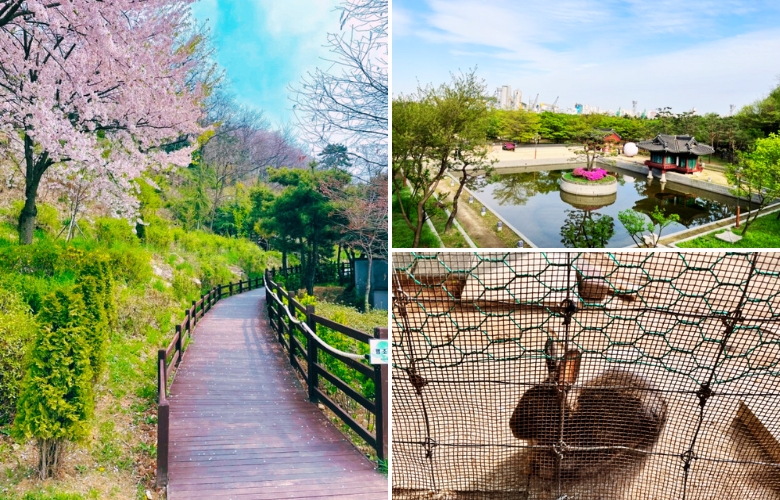 月尾公園仁川.jpg