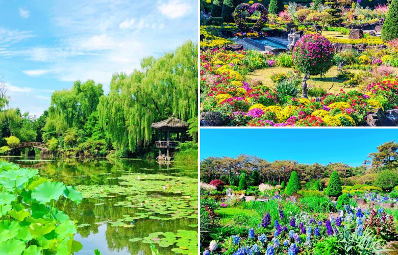 碧草池樹木園 (4).jpg