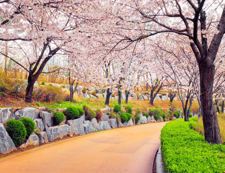 石村湖夏天.jpg