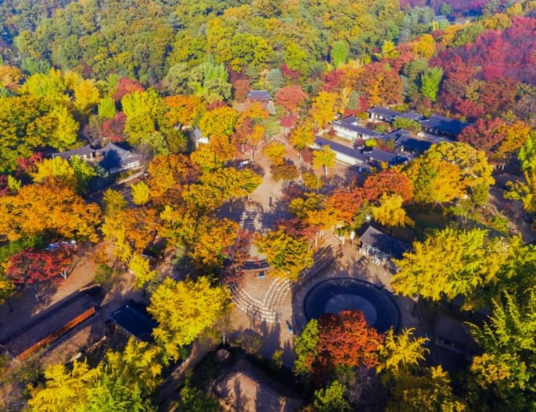 1722826096193875-龍仁民俗村.jpg