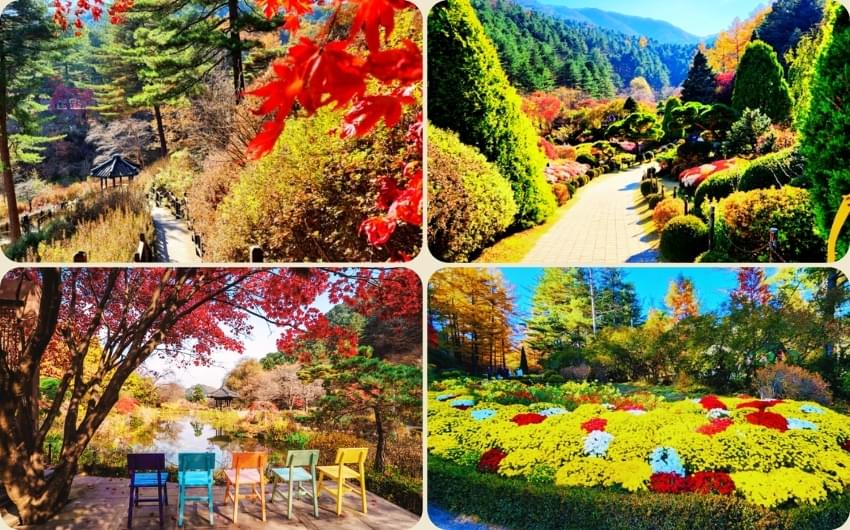 The garden of morning calm.jpg