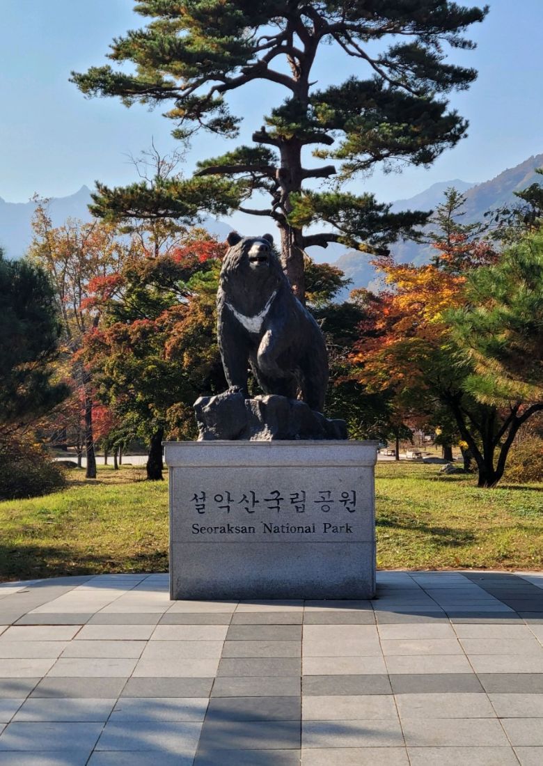 1719371383914732-雪岳山.jpg