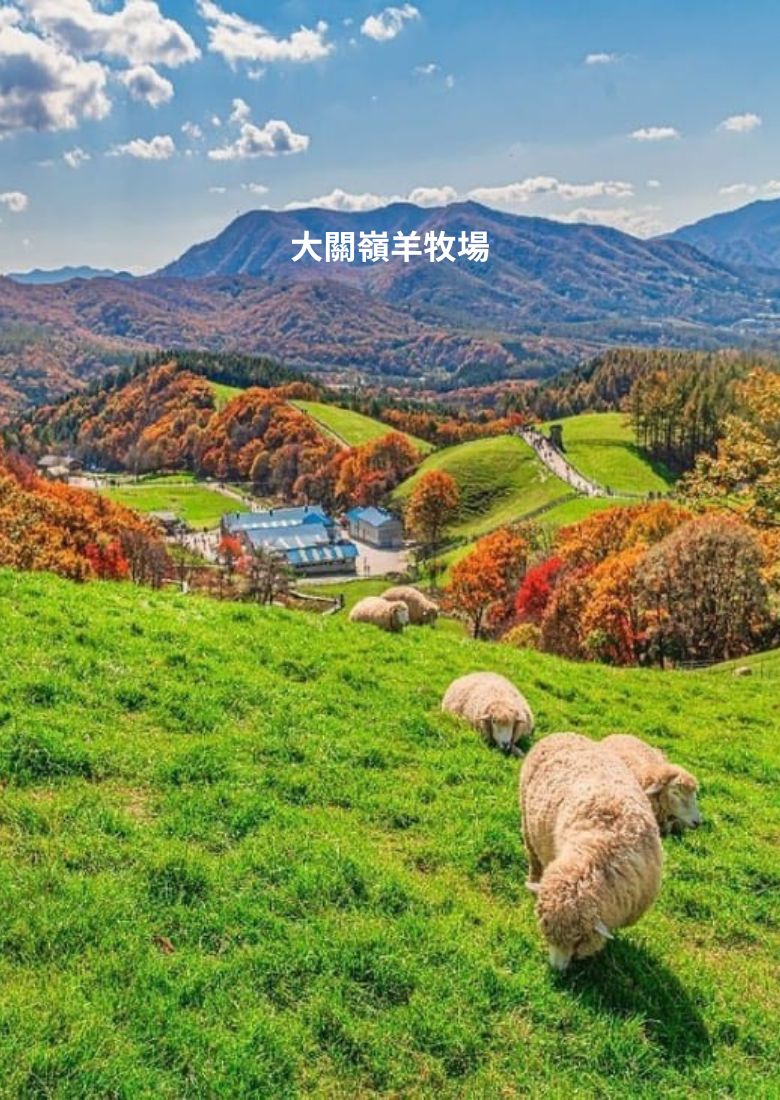 1718603185815866-大關嶺羊牧場.jpg