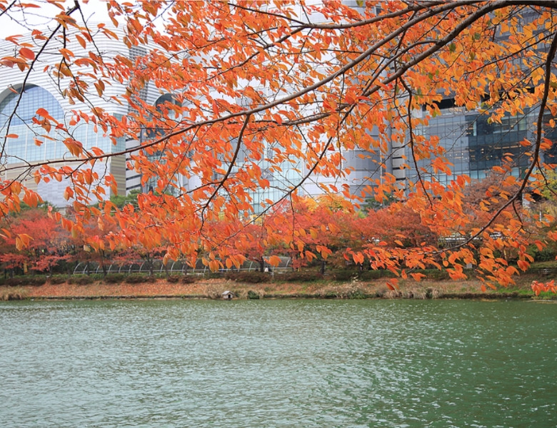 /images/2025/07/01/1751358007757689-石村湖.jpg 石村湖.jpg