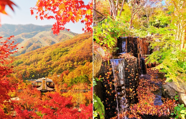 1733297043530465-昆池岩秋天.jpg