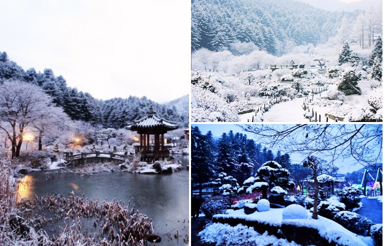 1732771942492620-晨靜樹木園冬天 (2).jpg