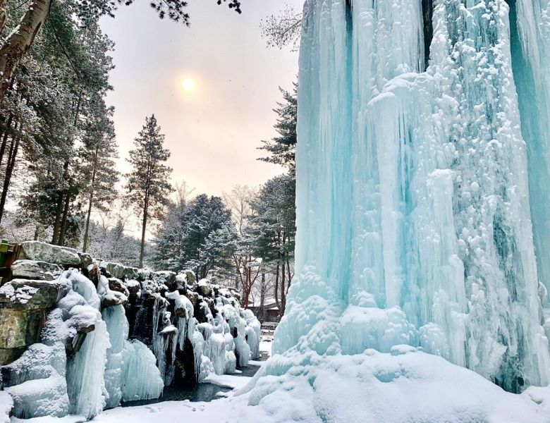 /images/2025/11/30/1764493558600482-南怡島冬天.jpg 南怡島冬天.jpg
