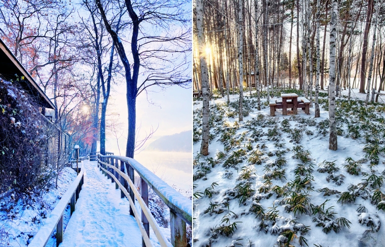 /images/2025/11/30/1764497982369176-南怡島雪景.jpg 南怡島雪景.jpg